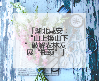 湖北咸安：“山上换山下”破解农林发展“瓶颈”