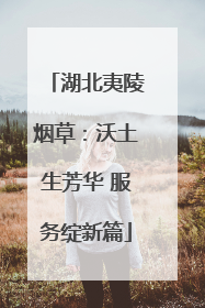 湖北夷陵烟草：沃土生芳华 服务绽新篇