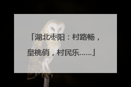 湖北枣阳：村路畅，皇桃俏，村民乐……