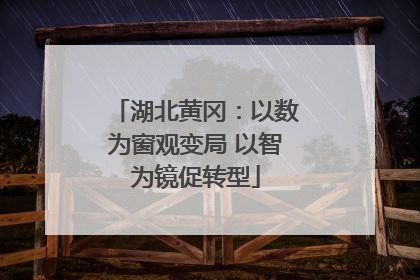 湖北黄冈：以数为窗观变局 以智为镜促转型