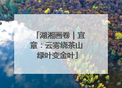 湖湘画卷｜宜章：云雾绕茶山 绿叶变金叶