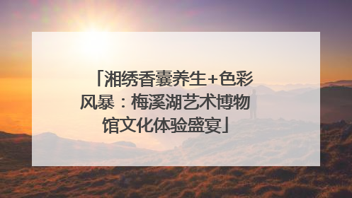 湘绣香囊养生+色彩风暴：梅溪湖艺术博物馆文化体验盛宴