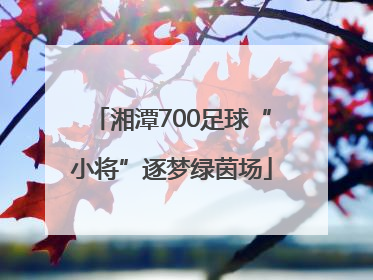 湘潭700足球“小将”逐梦绿茵场