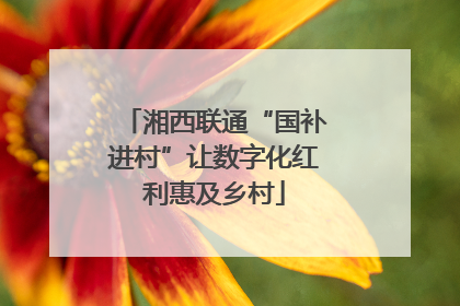 湘西联通“国补进村”让数字化红利惠及乡村