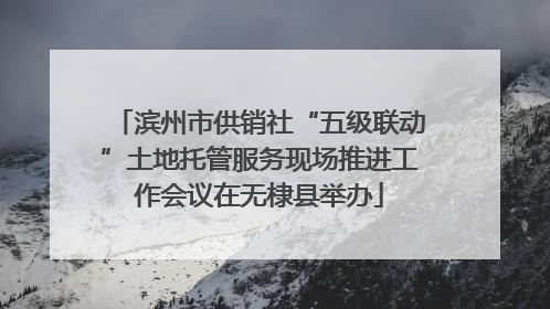 滨州市供销社“五级联动”土地托管服务现场推进工作会议在无棣县举办