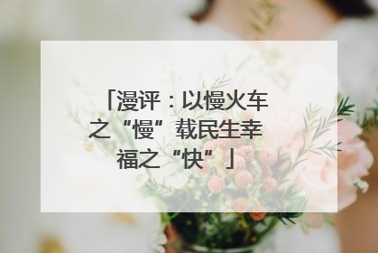 漫评：以慢火车之“慢”载民生幸福之“快”