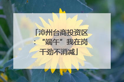 漳州台商投资区：“端午”我在岗 干劲不消减