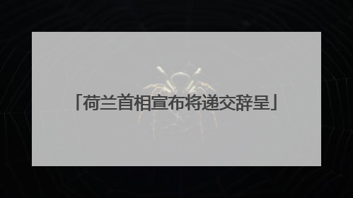 荷兰首相宣布将递交辞呈