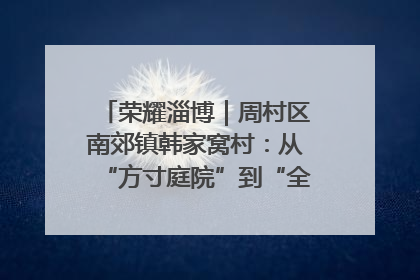 荣耀淄博｜周村区南郊镇韩家窝村：从“方寸庭院”到“全域文明”，乡村振兴的“美学革命”