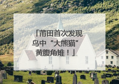 莆田首次发现鸟中“大熊猫”黄腹角雉！