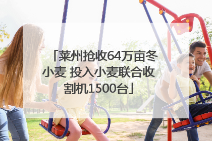 莱州抢收64万亩冬小麦 投入小麦联合收割机1500台