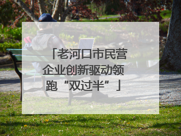 老河口市民营企业创新驱动领跑“双过半”