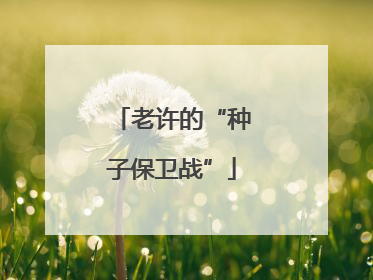 老许的“种子保卫战”