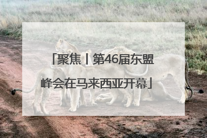 聚焦丨第46届东盟峰会在马来西亚开幕