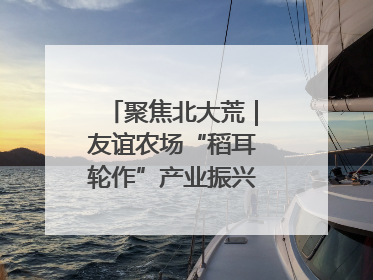 聚焦北大荒｜友谊农场“稻耳轮作”产业振兴“花开两朵”