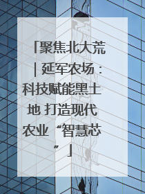 聚焦北大荒｜延军农场：科技赋能黑土地 打造现代农业“智慧芯”