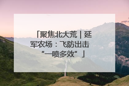 聚焦北大荒｜延军农场：飞防出击 “一喷多效”