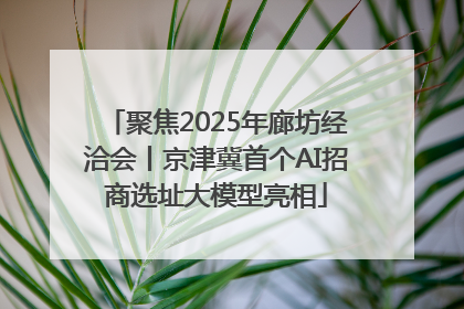聚焦2025年廊坊经洽会丨京津冀首个AI招商选址大模型亮相