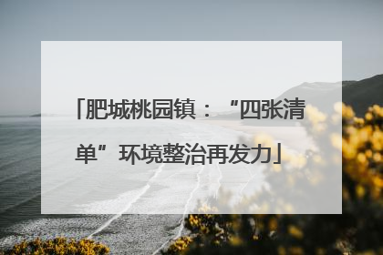 肥城桃园镇：“四张清单”环境整治再发力