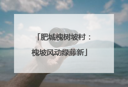 肥城槐树坡村：槐坡风动绿藤新