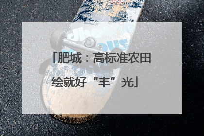 肥城：高标准农田绘就好“丰”光