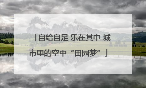 自给自足 乐在其中 城市里的空中“田园梦”