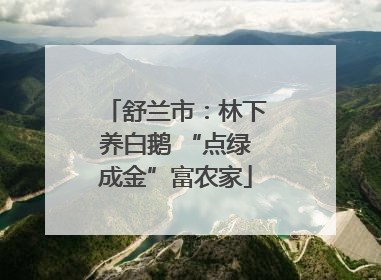 舒兰市：林下养白鹅 “点绿成金”富农家