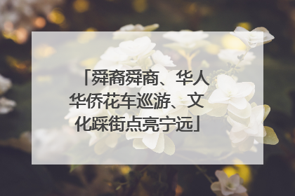 舜裔舜商、华人华侨花车巡游、文化踩街点亮宁远