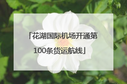 花湖国际机场开通第100条货运航线