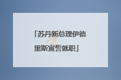 苏丹新总理伊德里斯宣誓就职