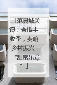 范县城关镇：香瓜丰收季，奏响乡村振兴 “甜蜜乐章”