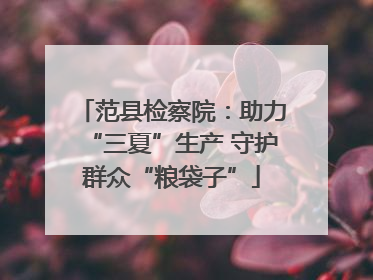 范县检察院：助力“三夏”生产 守护群众“粮袋子”