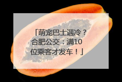 萌宠巴士遇冷？合肥公交：满10位乘客才发车！