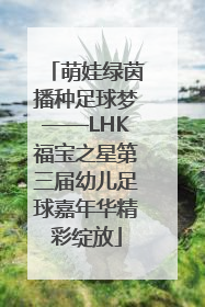 萌娃绿茵播种足球梦——LHK福宝之星第三届幼儿足球嘉年华精彩绽放