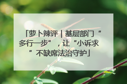 萝卜辣评｜基层部门“多行一步”，让“小诉求”不缺席法治守护