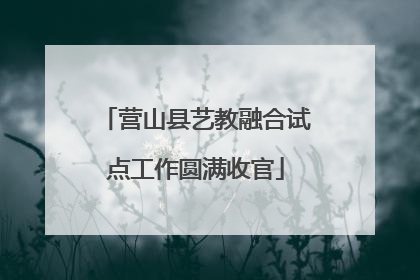 营山县艺教融合试点工作圆满收官