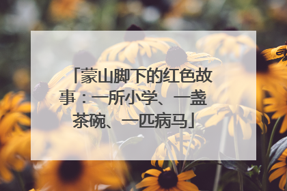蒙山脚下的红色故事：一所小学、一盏茶碗、一匹病马