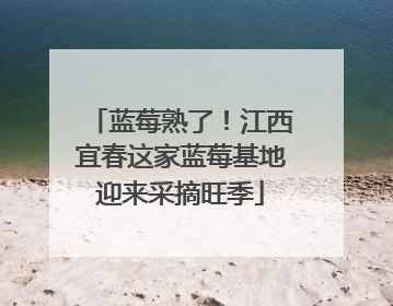 蓝莓熟了！江西宜春这家蓝莓基地迎来采摘旺季