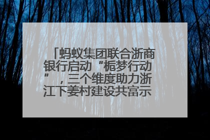 蚂蚁集团联合浙商银行启动“栀梦行动”，三个维度助力浙江下姜村建设共富示范区示范点