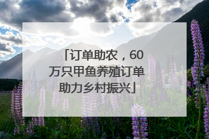 订单助农，60万只甲鱼养殖订单助力乡村振兴