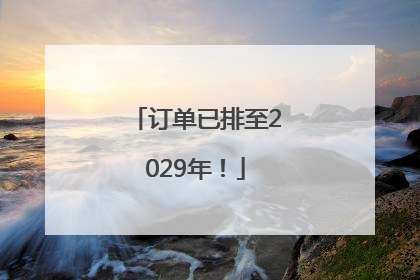 订单已排至2029年！