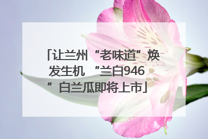 让兰州“老味道”焕发生机 “兰白946”白兰瓜即将上市