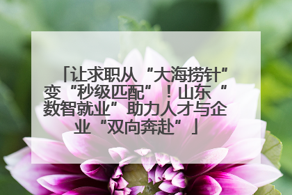 让求职从“大海捞针”变“秒级匹配”！山东“数智就业”助力人才与企业“双向奔赴”