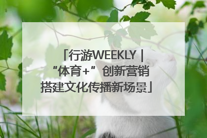 行游WEEKLY｜“体育+”创新营销 搭建文化传播新场景