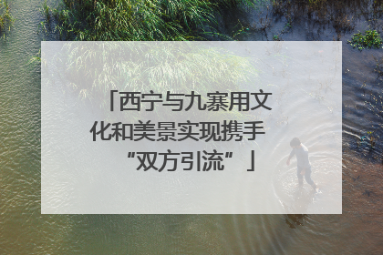 西宁与九寨用文化和美景实现携手“双方引流”