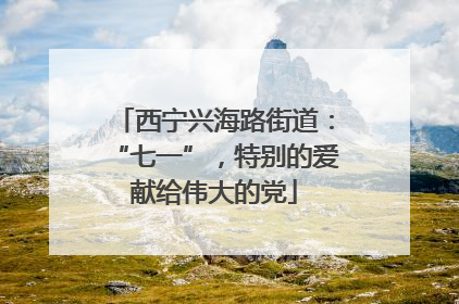 西宁兴海路街道：“七一”，特别的爱献给伟大的党