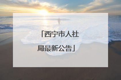 西宁市人社局最新公告