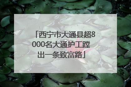 西宁市大通县超8000名大通护工蹚出一条致富路