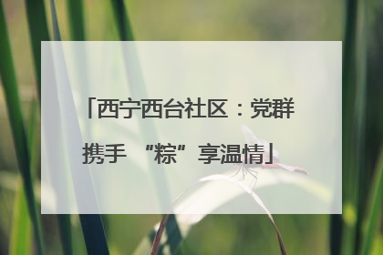 西宁西台社区：党群携手 “粽”享温情