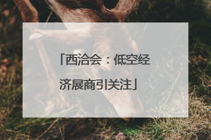 西洽会：低空经济展商引关注